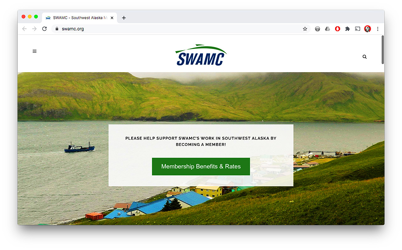 SWAMC-website-portfolio1