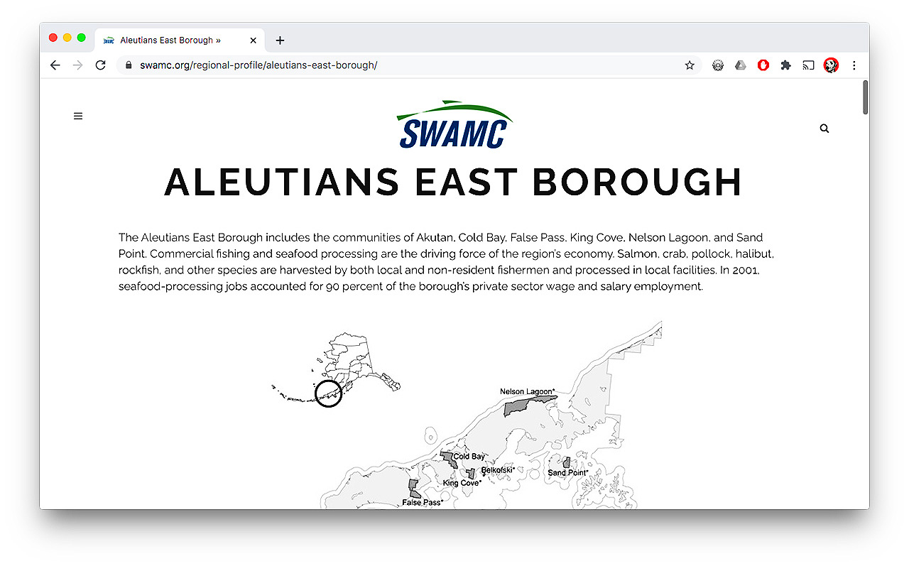 SWAMC-website-portfolio3