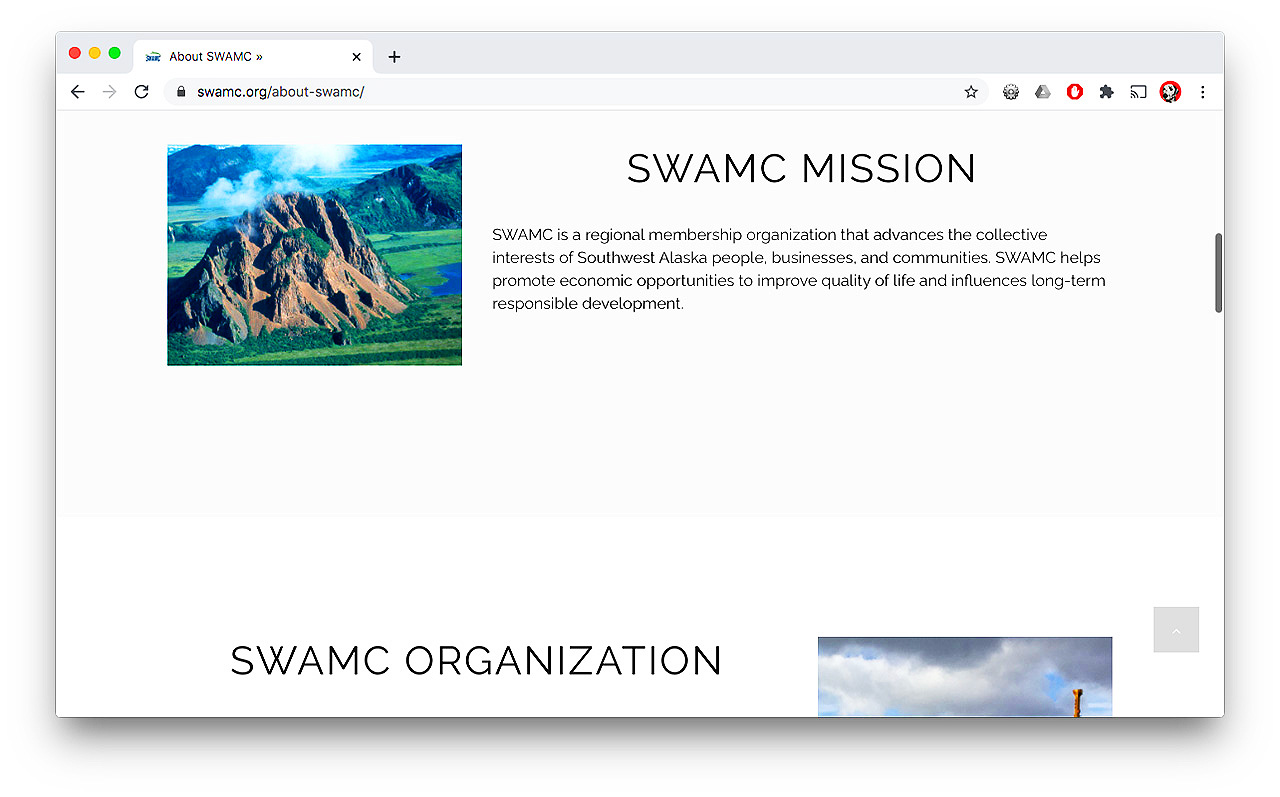 SWAMC-website-portfolio4