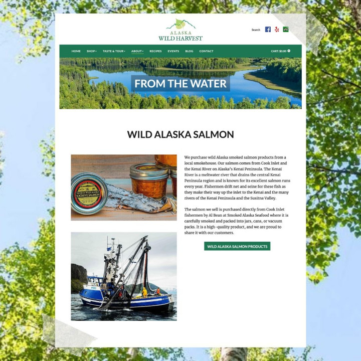 alaska web design