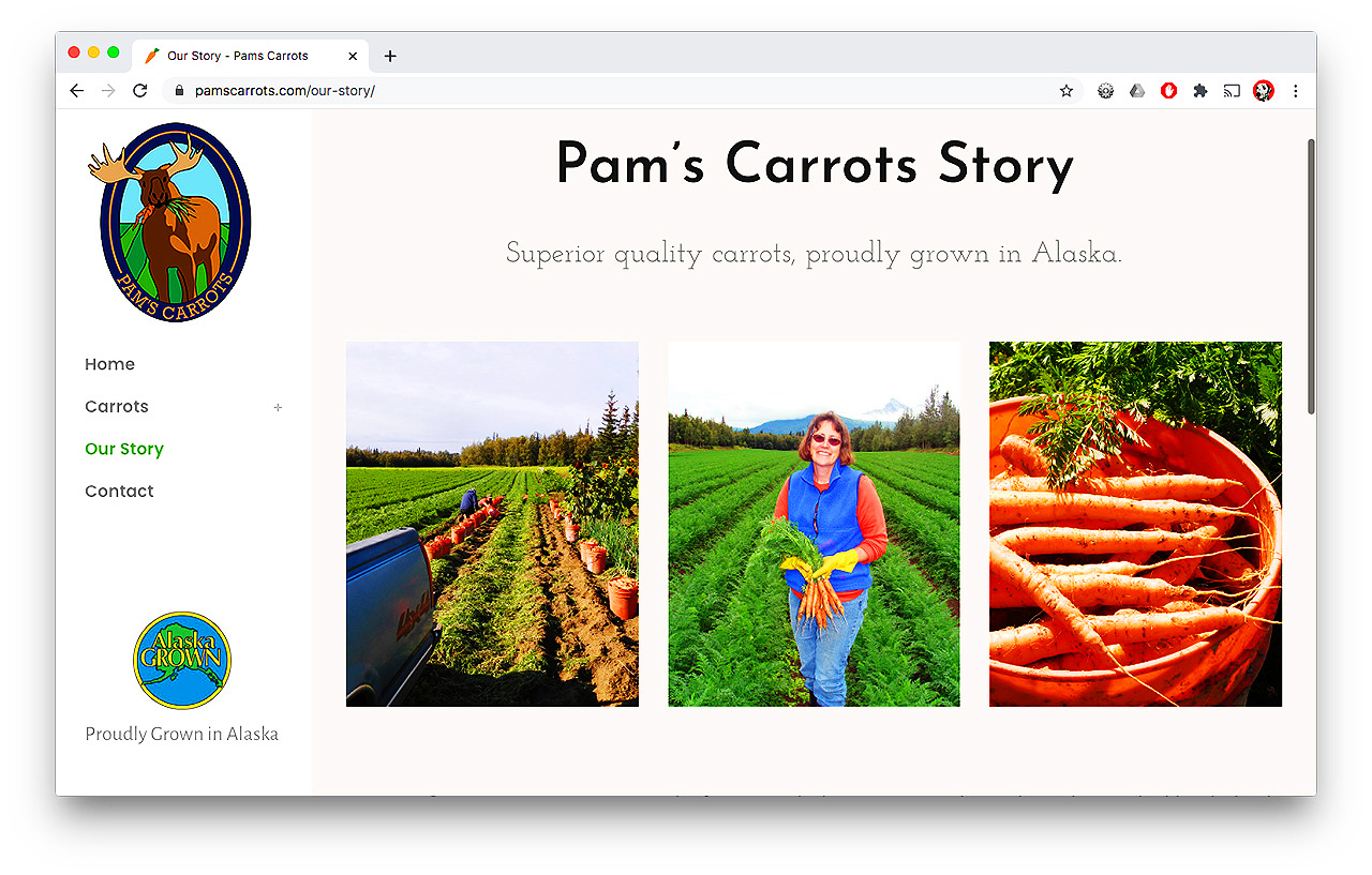pams-carrots-website-portfolio2